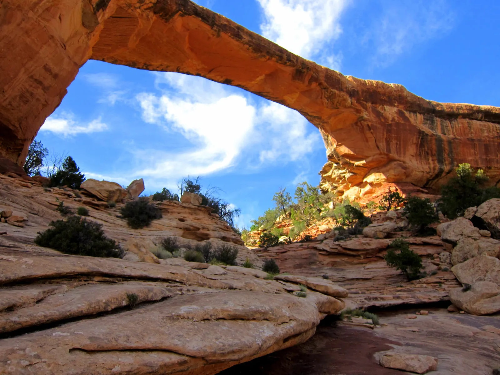 Natural Bridges Campground