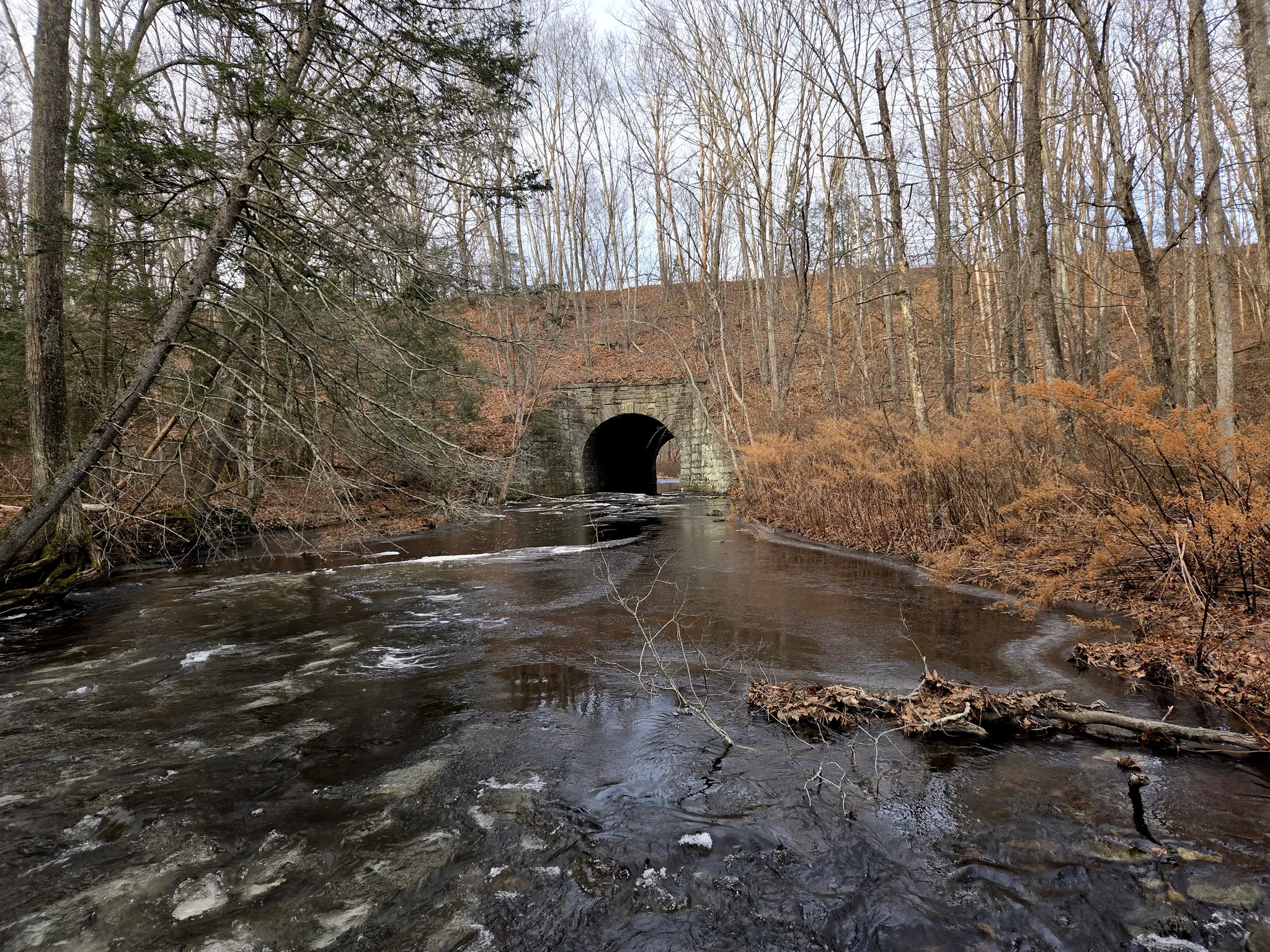 Mashamoquet Brook State Park
