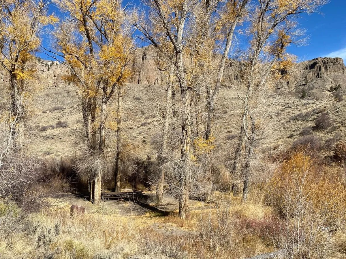 Red Creek Group Site