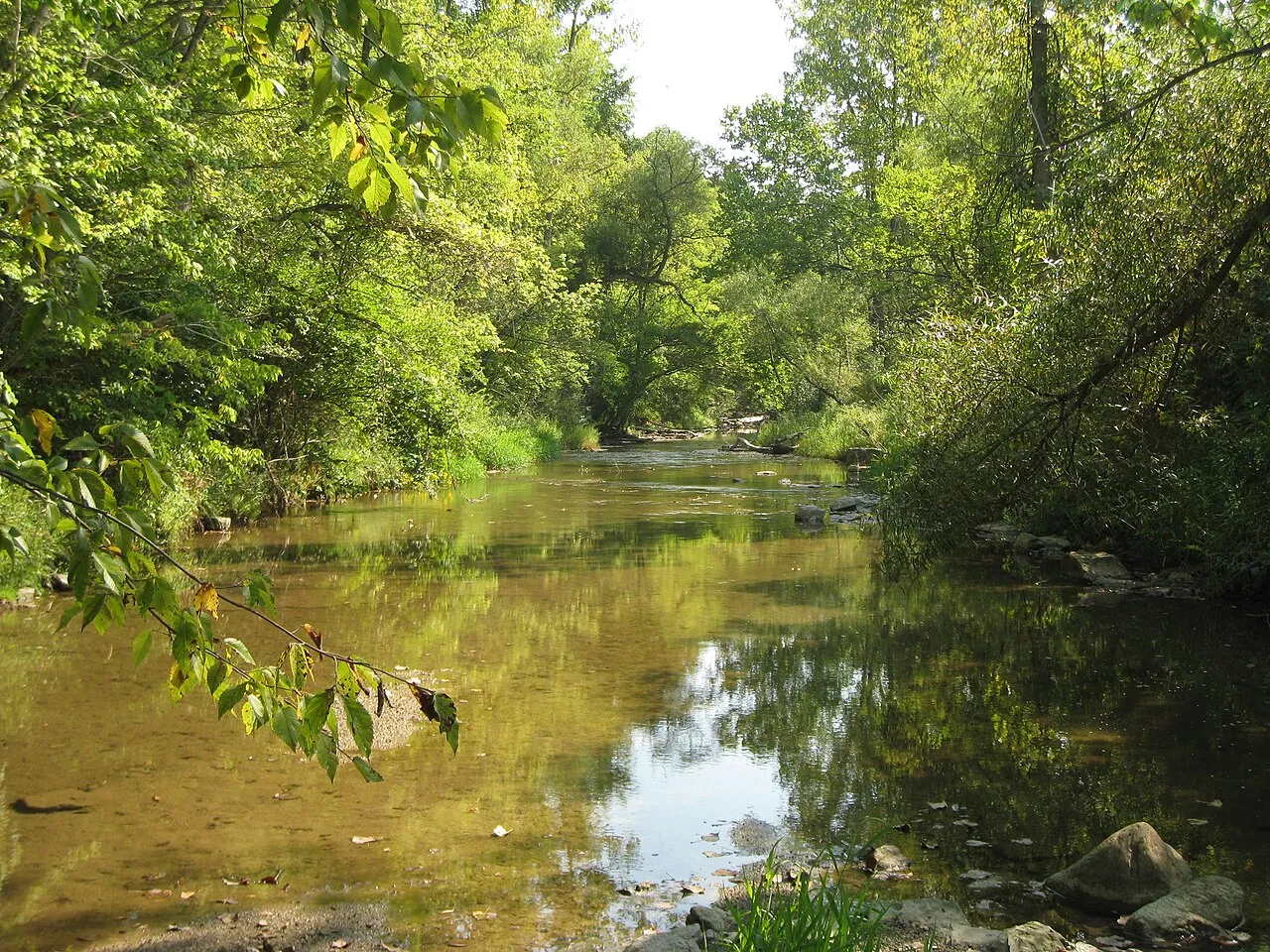 Sycamore Group Camp