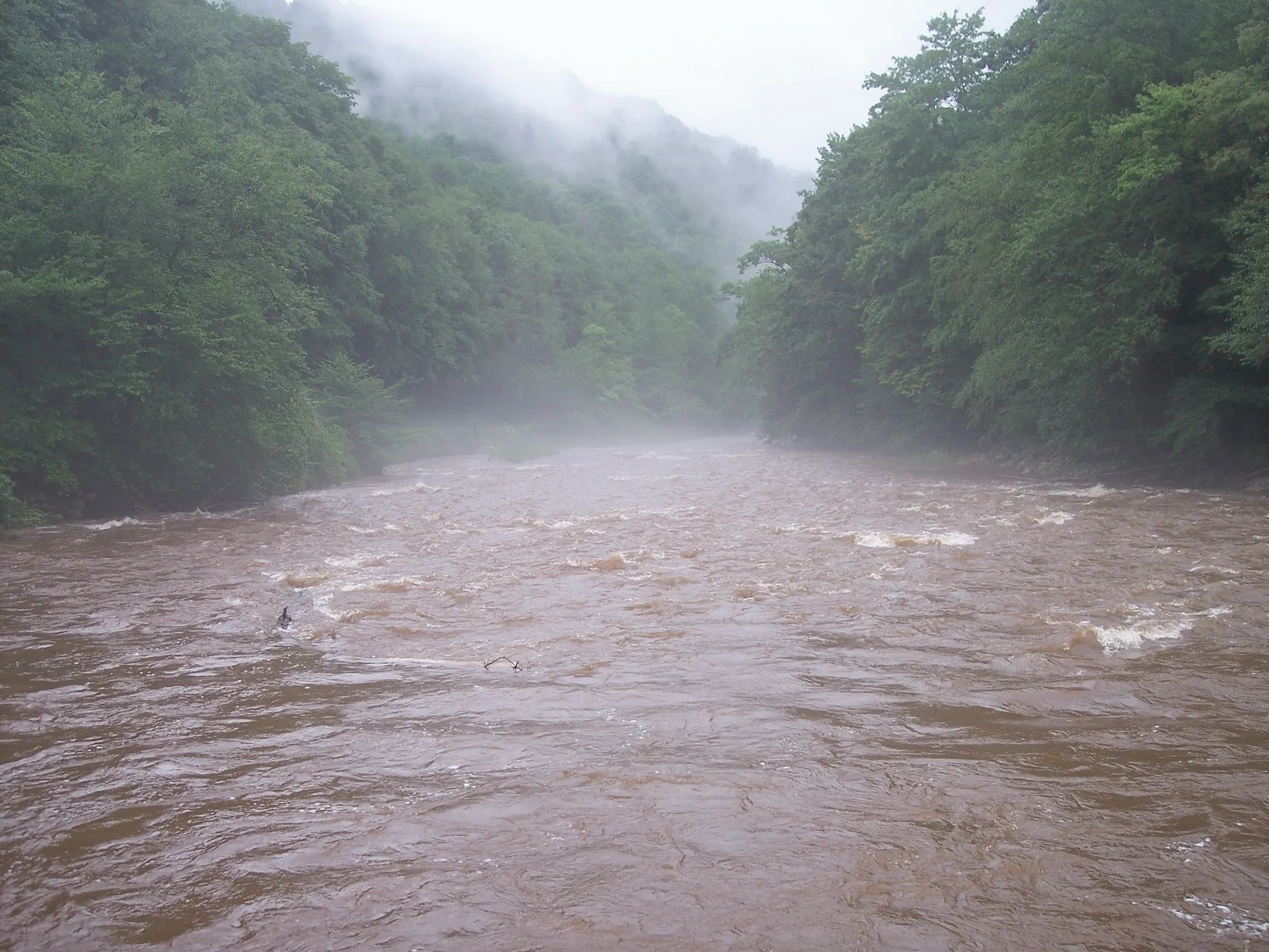 Tea Creek Campground