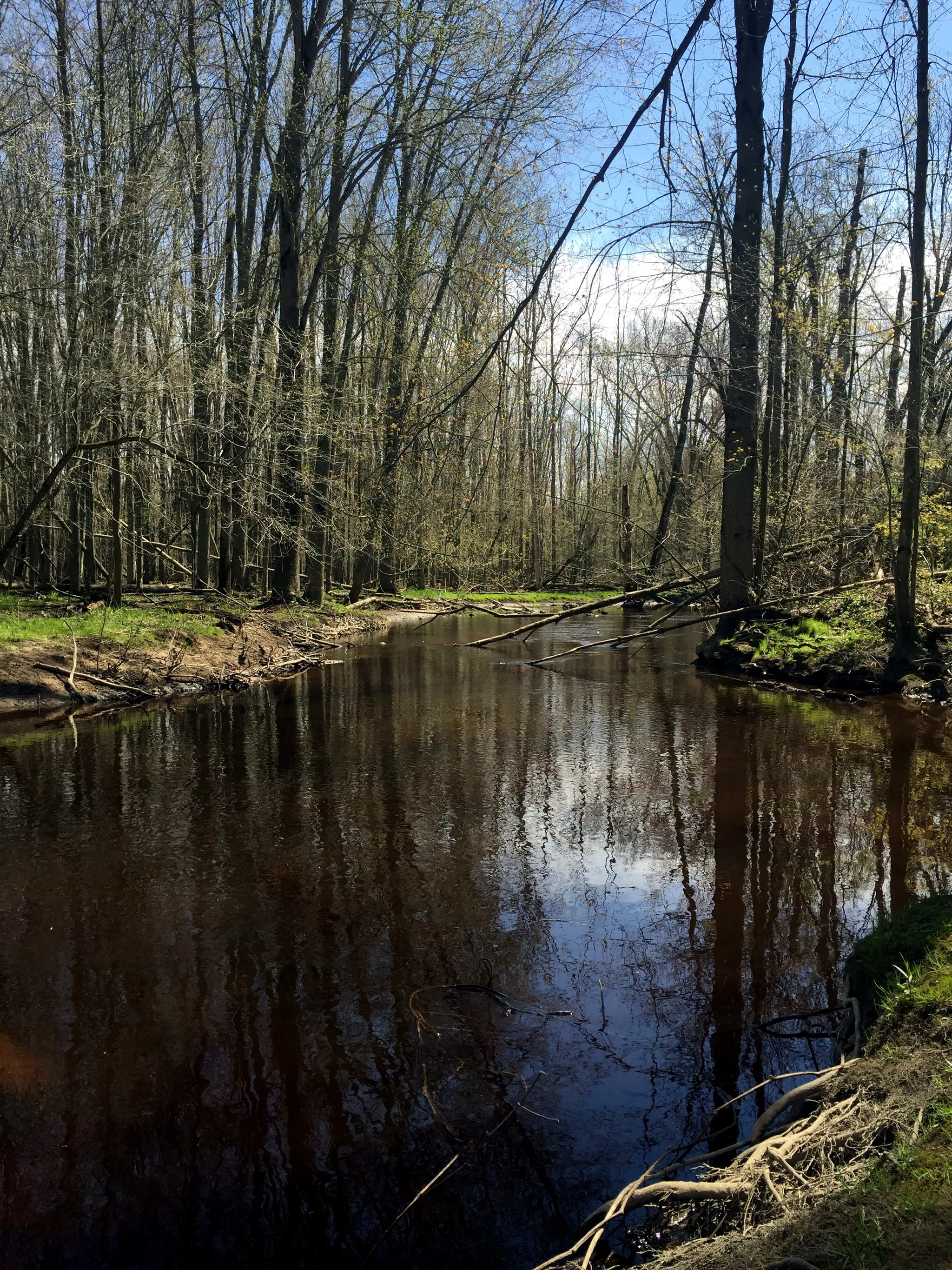 Greenleaf State Park
