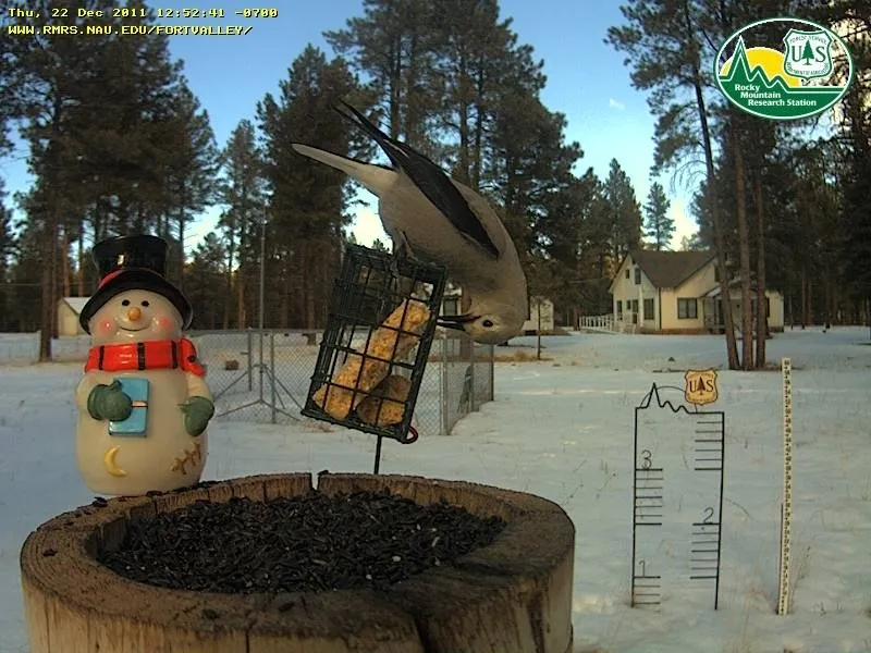 Beaver Creek Campground