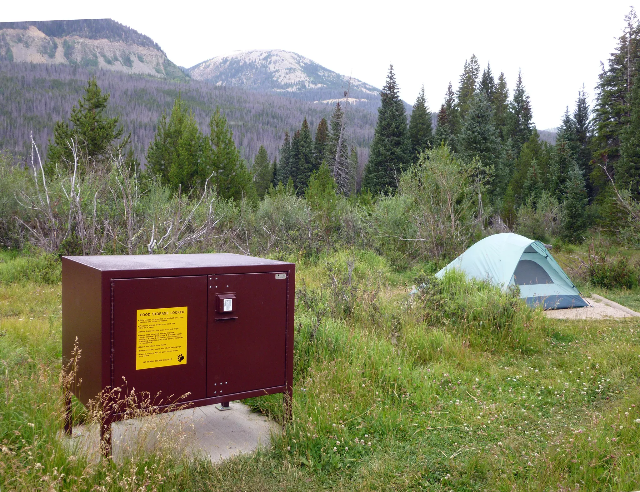 Rocky Mountain National Park Timber Creek Campground