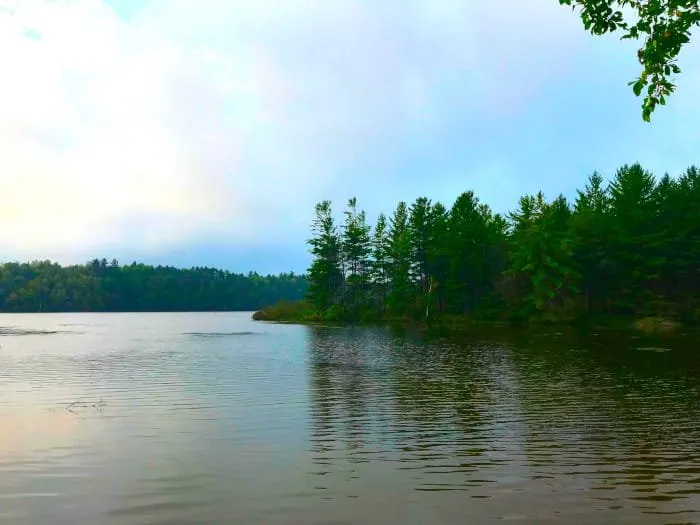 Mio Pond State Forest Campground And Group Camp