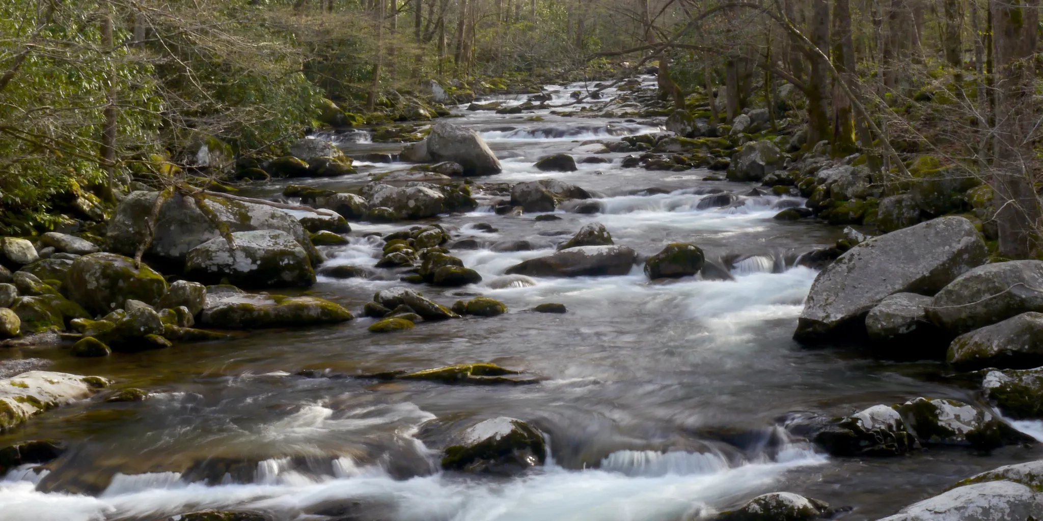 Big Creek Campground (Great Smoky Mountains National Park)