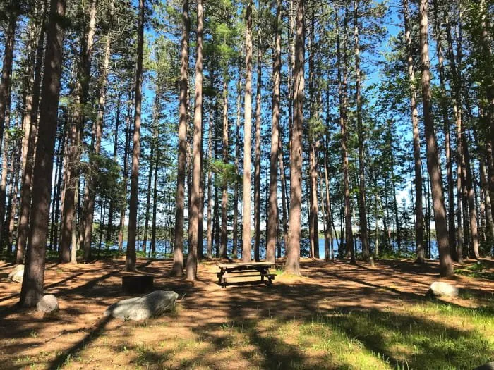 Culhane Lake State Forest Campground