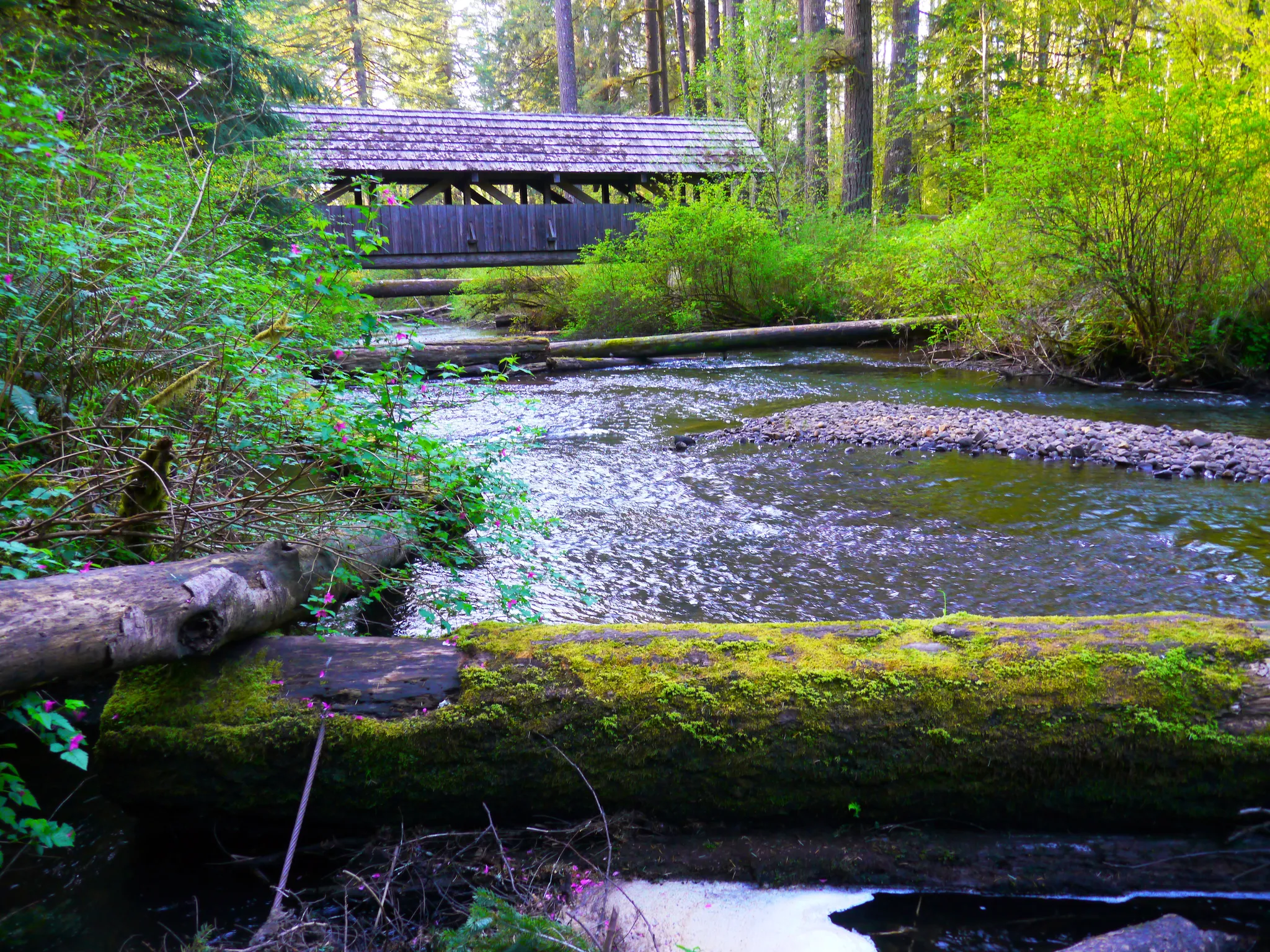 Silver Falls State Park