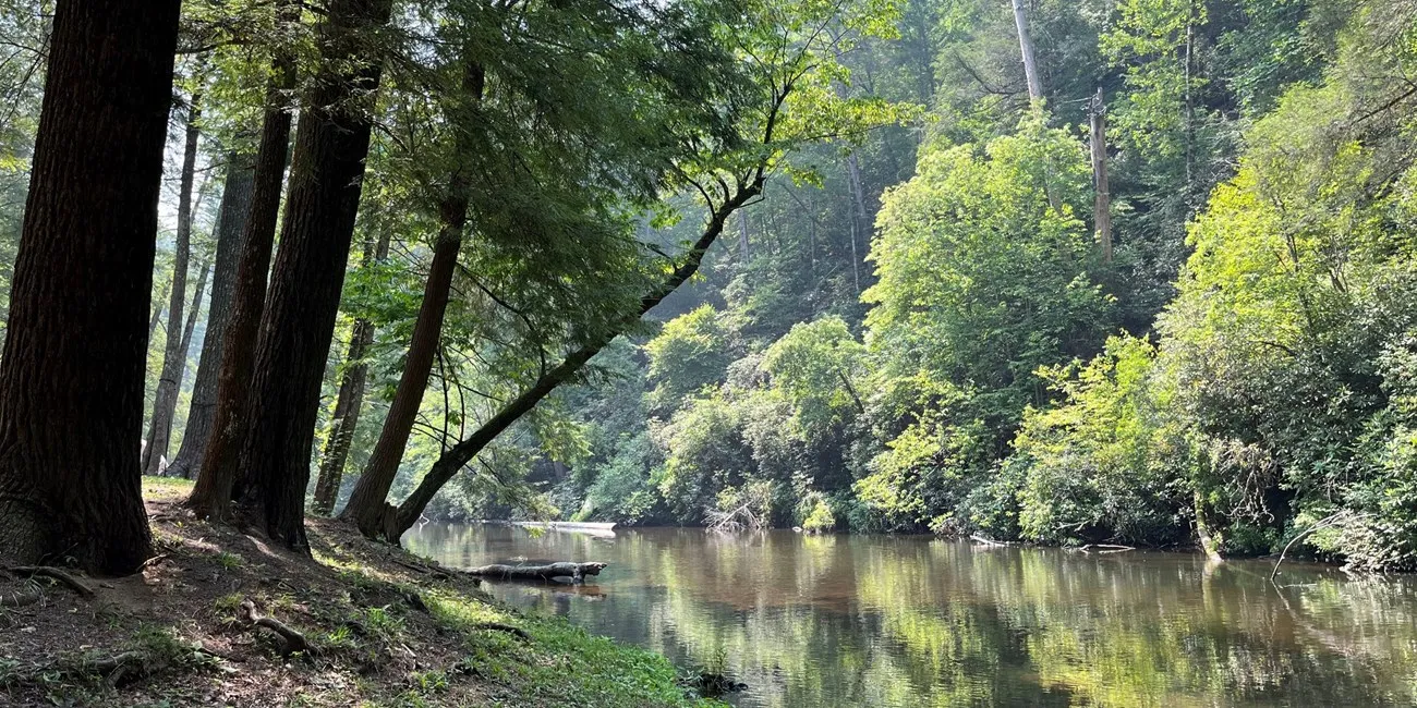 Look Rock Campground
