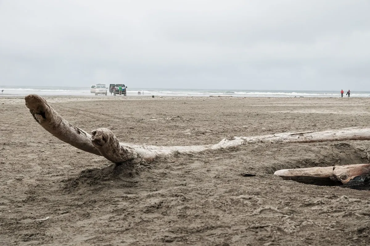 Ocean City State Park