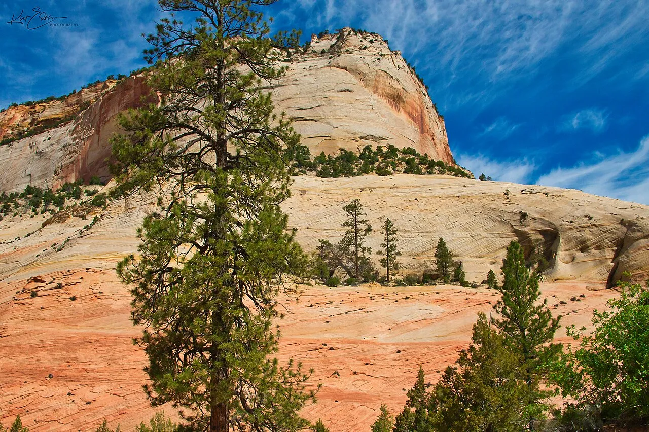 Watchman Campground