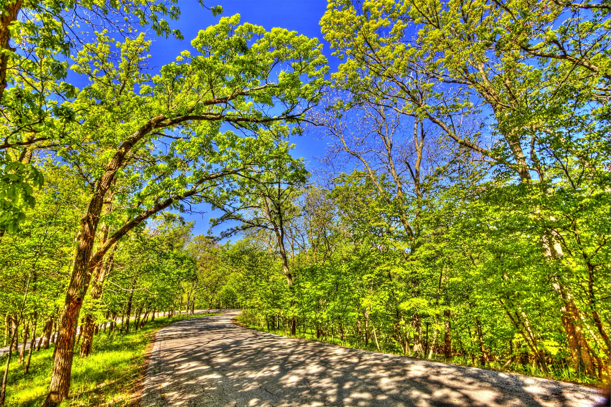 Springbrook State Park