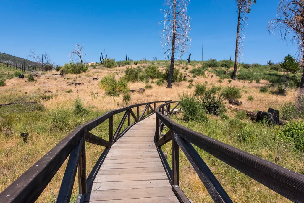 Arroyo Seco Trail Campground