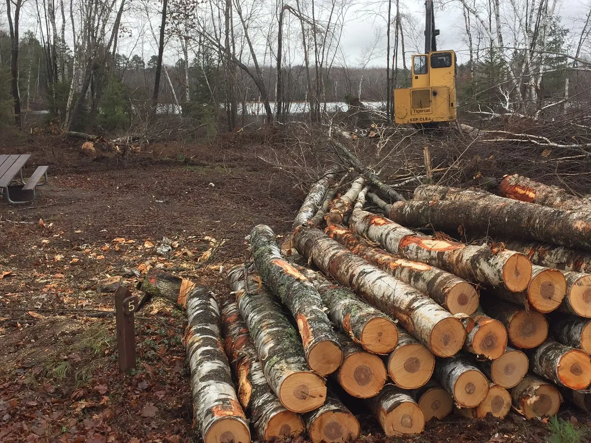 Birch Grove Recreation Area