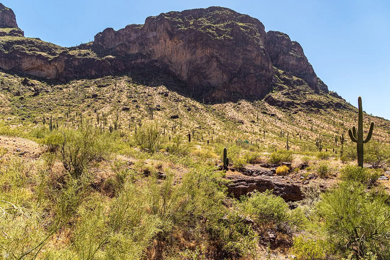 Campground B Loop