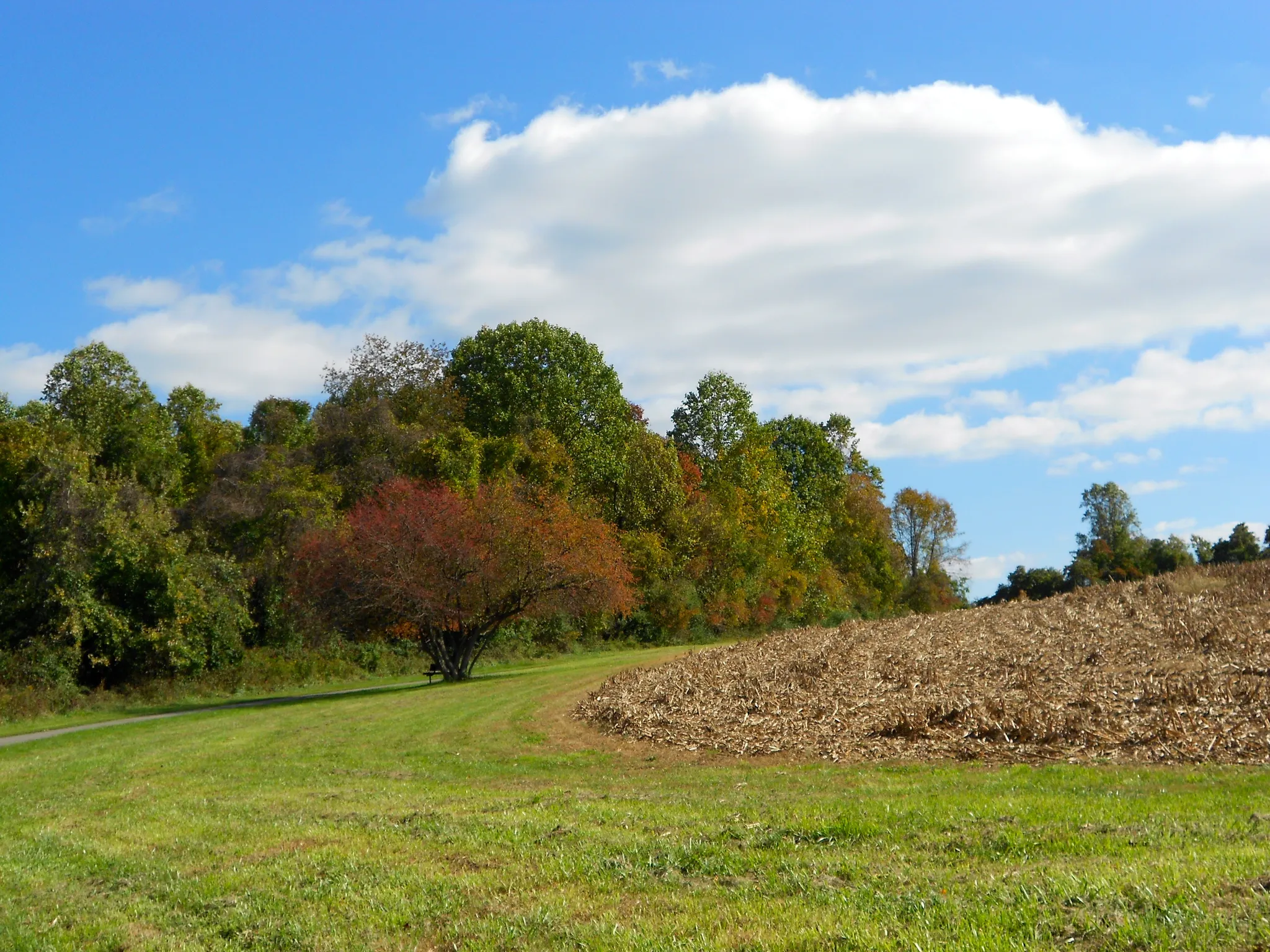 Ridley Creek State Park