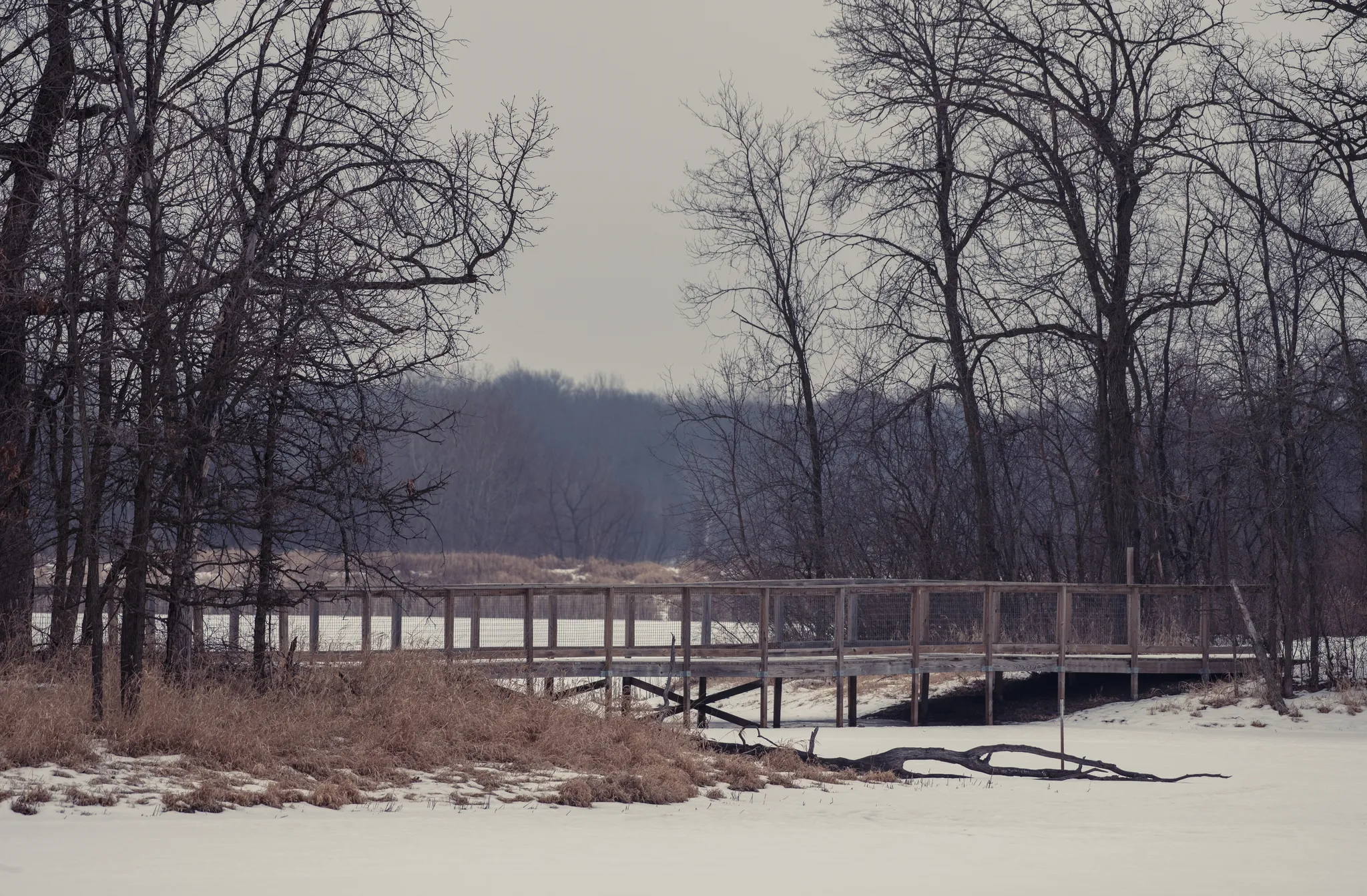 Lake Elmo Park Reserve