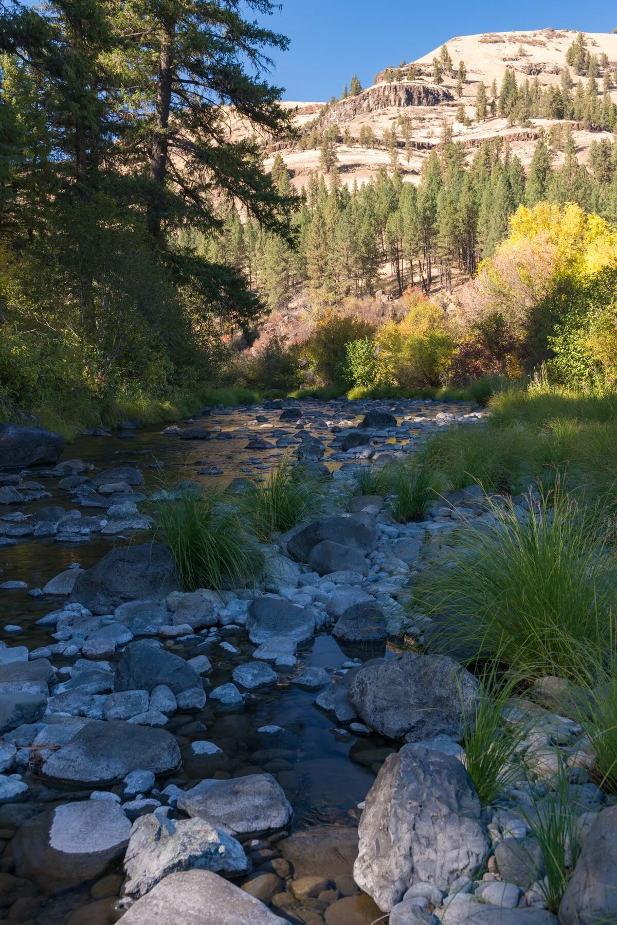 Tollbridge Campground