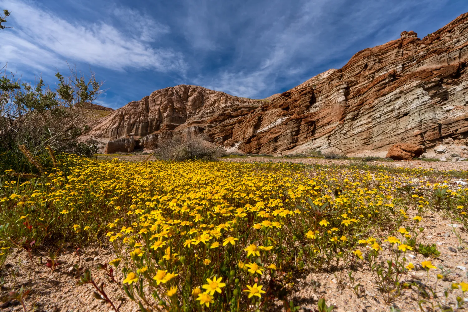 Ricardo Campground