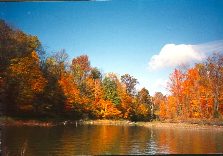 Alum Creek Equestrian Camp