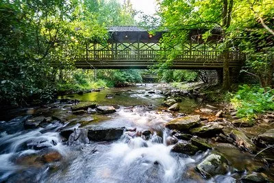 Smithgall Woods