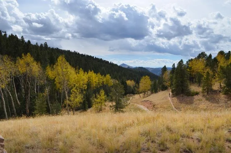 Mueller State Park