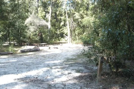 O'Leno State Park Loop Mag1
