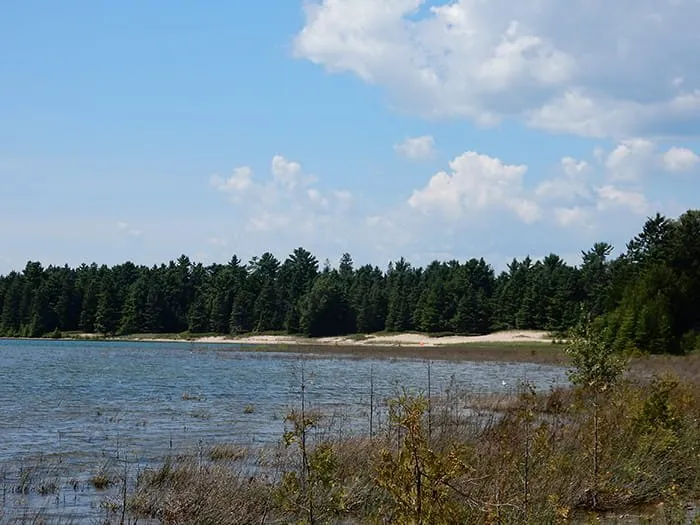 Portage Bay State Forest Campground