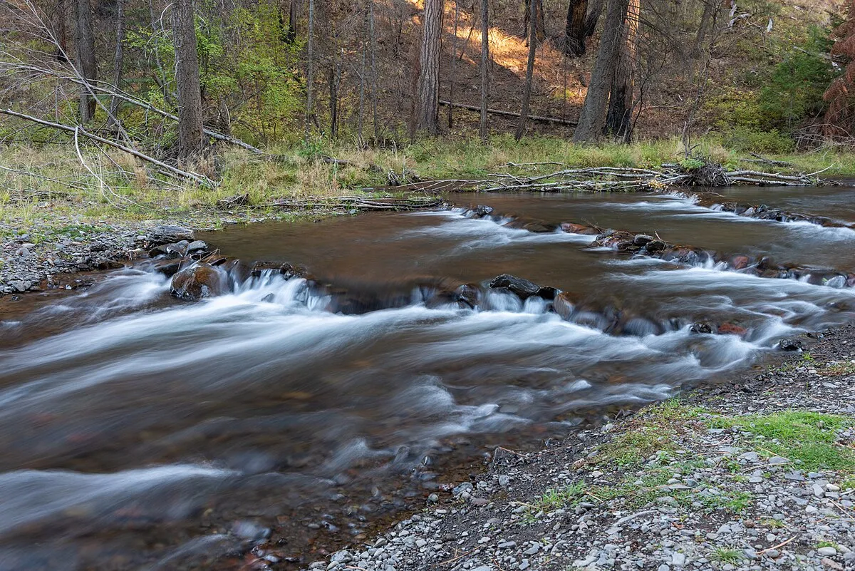 South Fork Campground