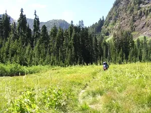 Dosewallips Campground (Walk-In Only)
