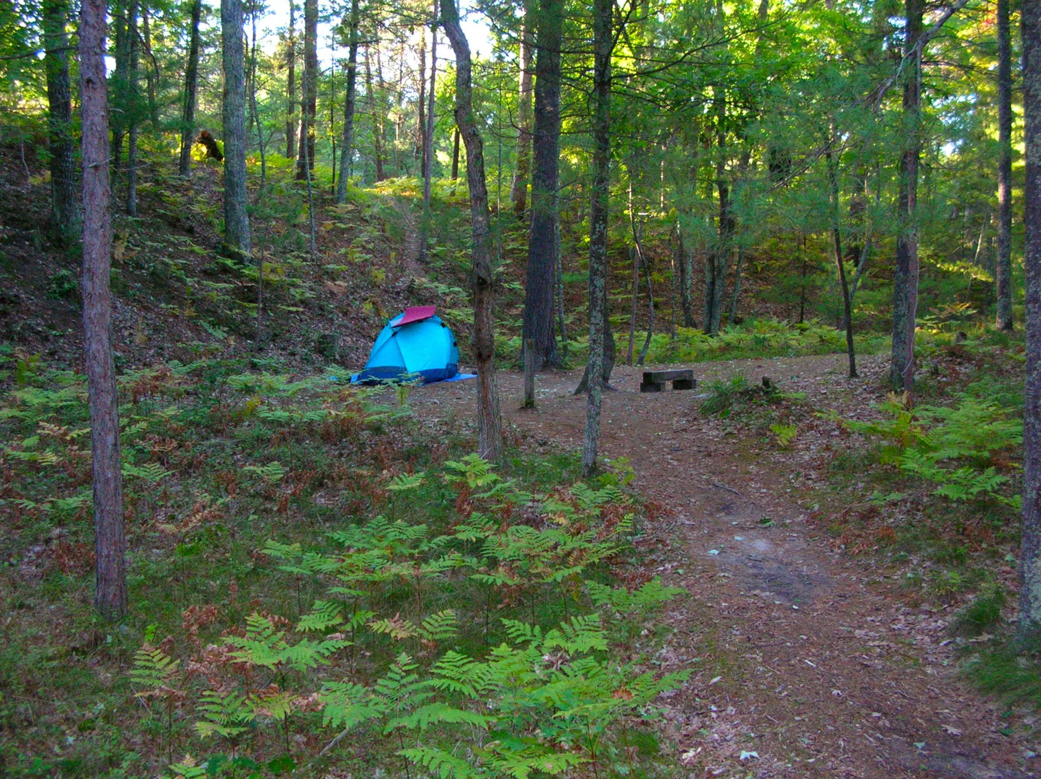 White Pine Backcountry Campground Permits