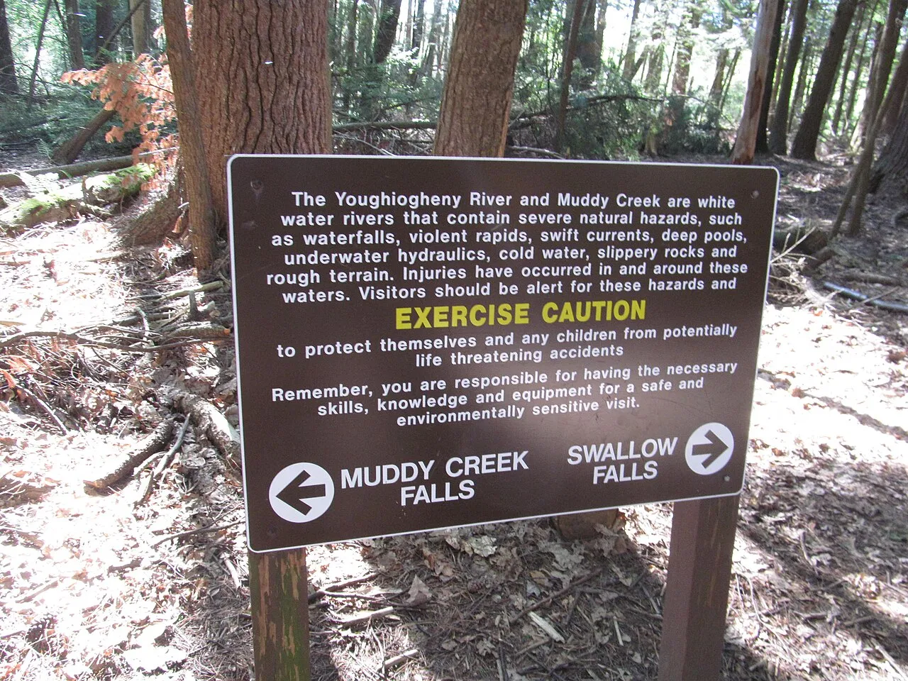 Swallow Falls State Park