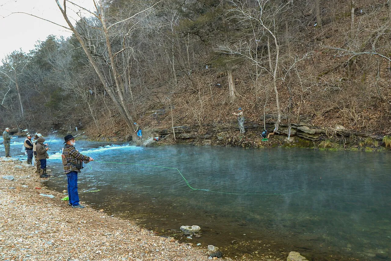 Campground 1 (Sites 1-6 And 42-77)