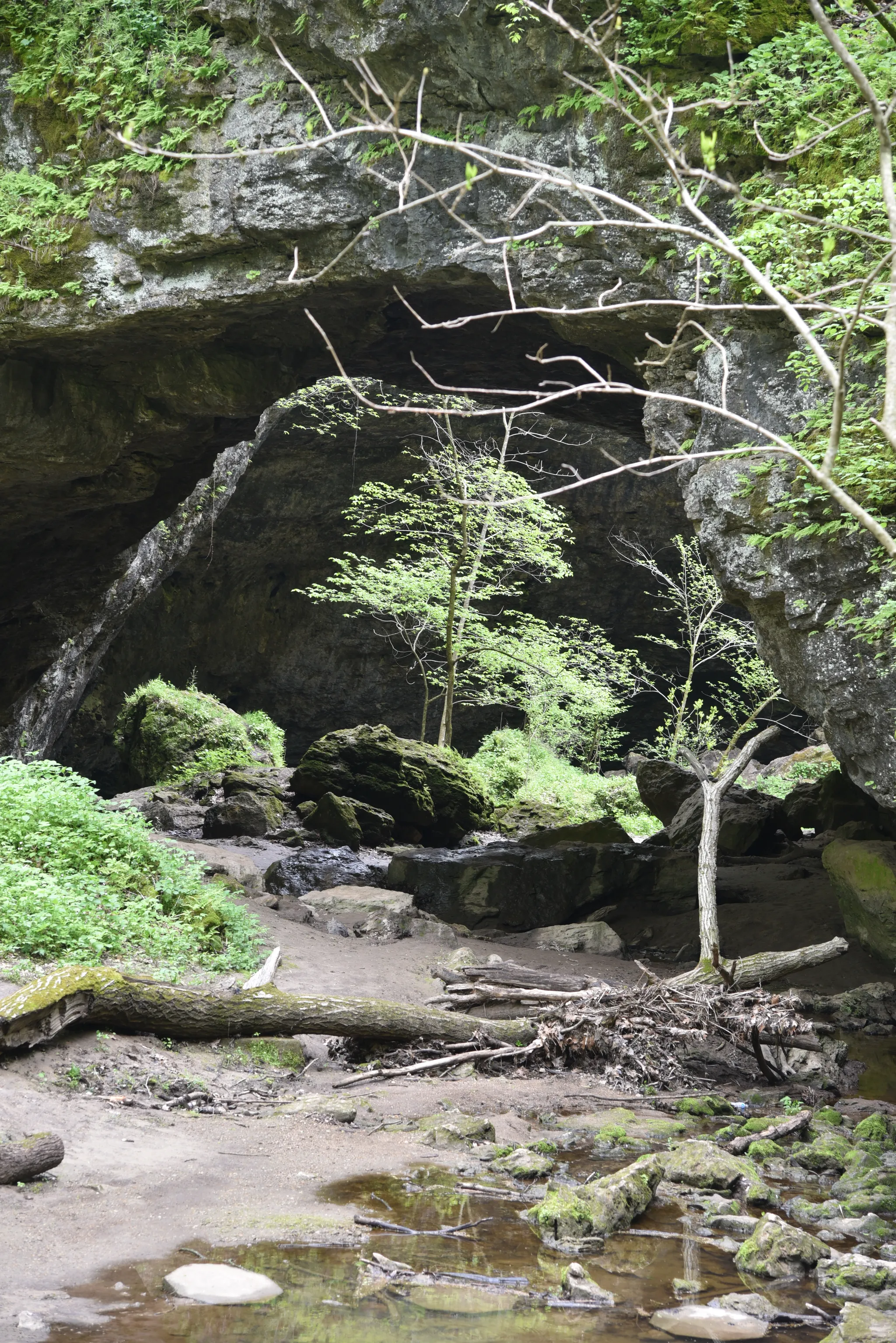 Maquoketa Caves State Park