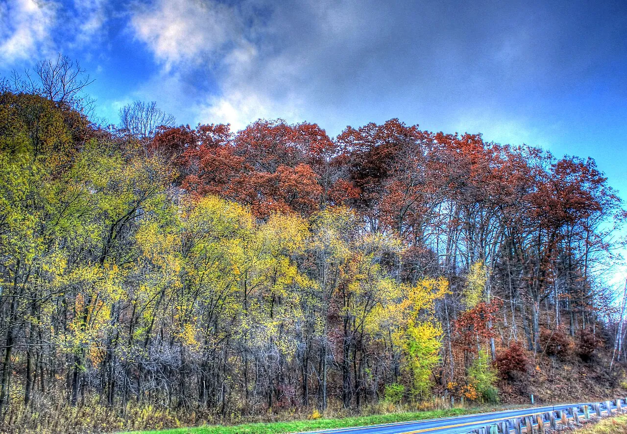 Wildcat Mountain State Park