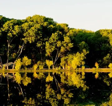 Group Campgrounds