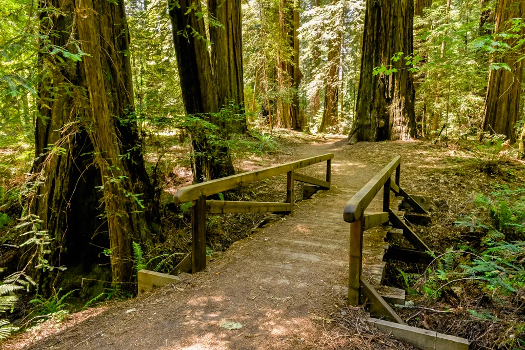 Marin Group Campground
