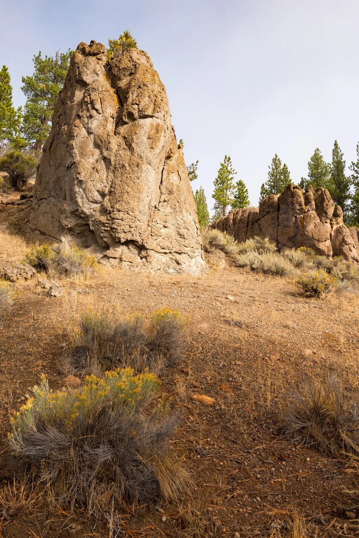 Dairy Point Campground