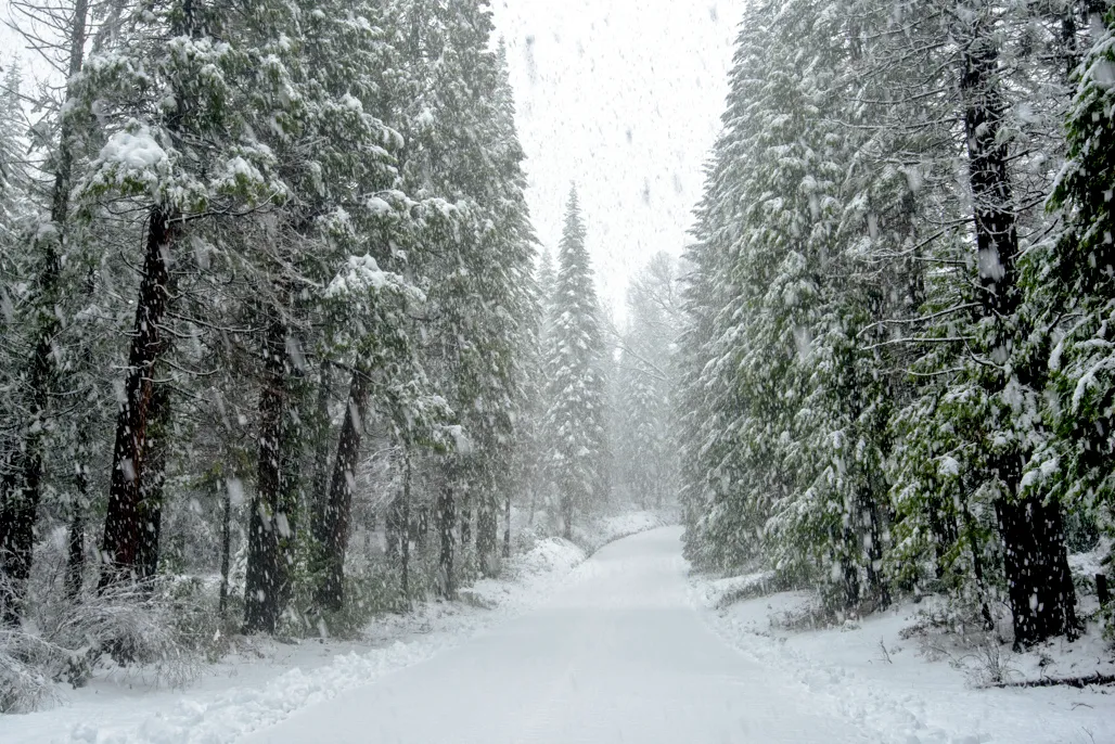 Malakoff Diggins State Historic Park Campground