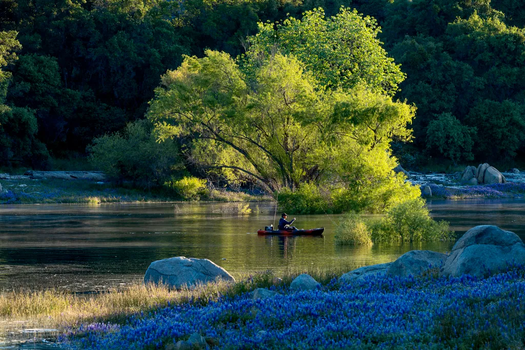 Peninsula Campground