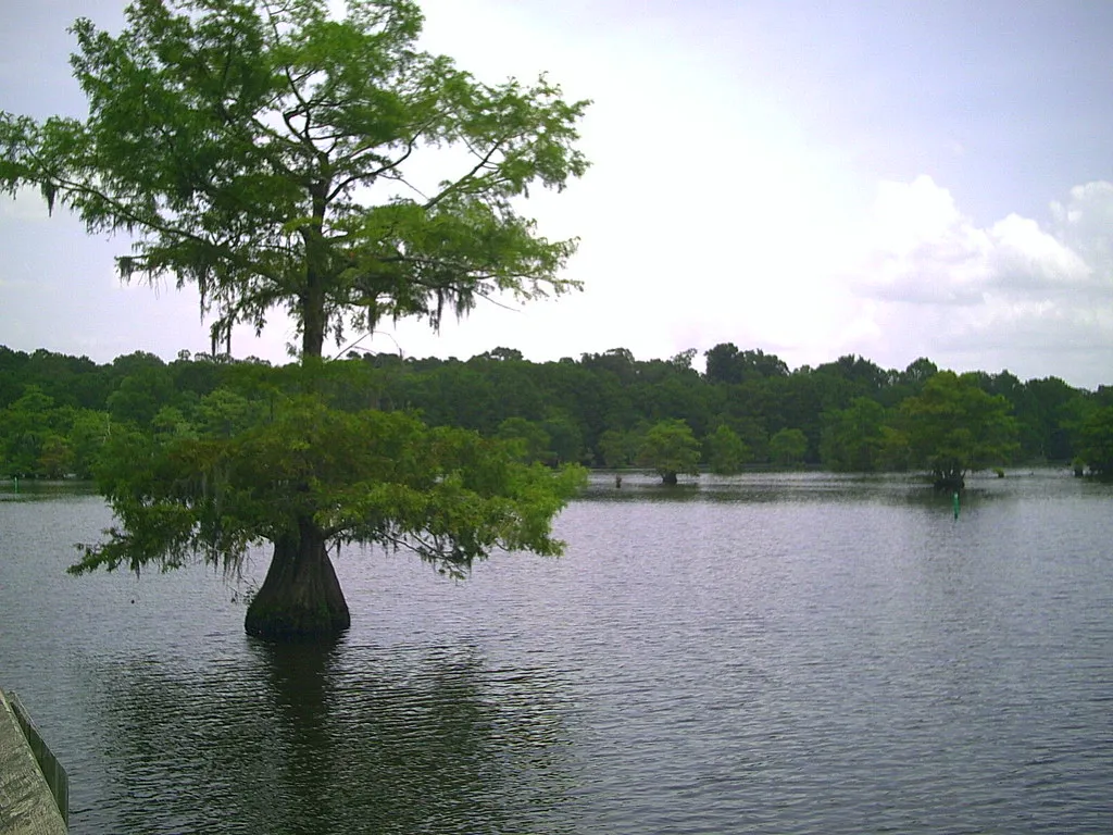 Lake Chicot Campground