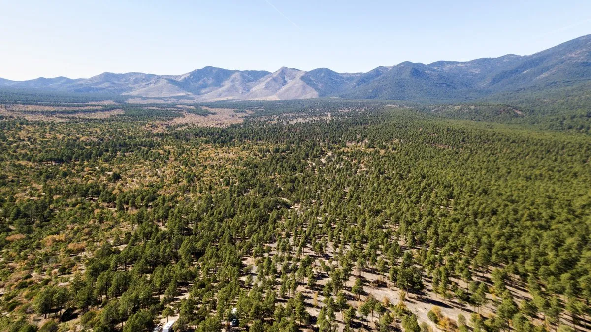 Manzano Mountains