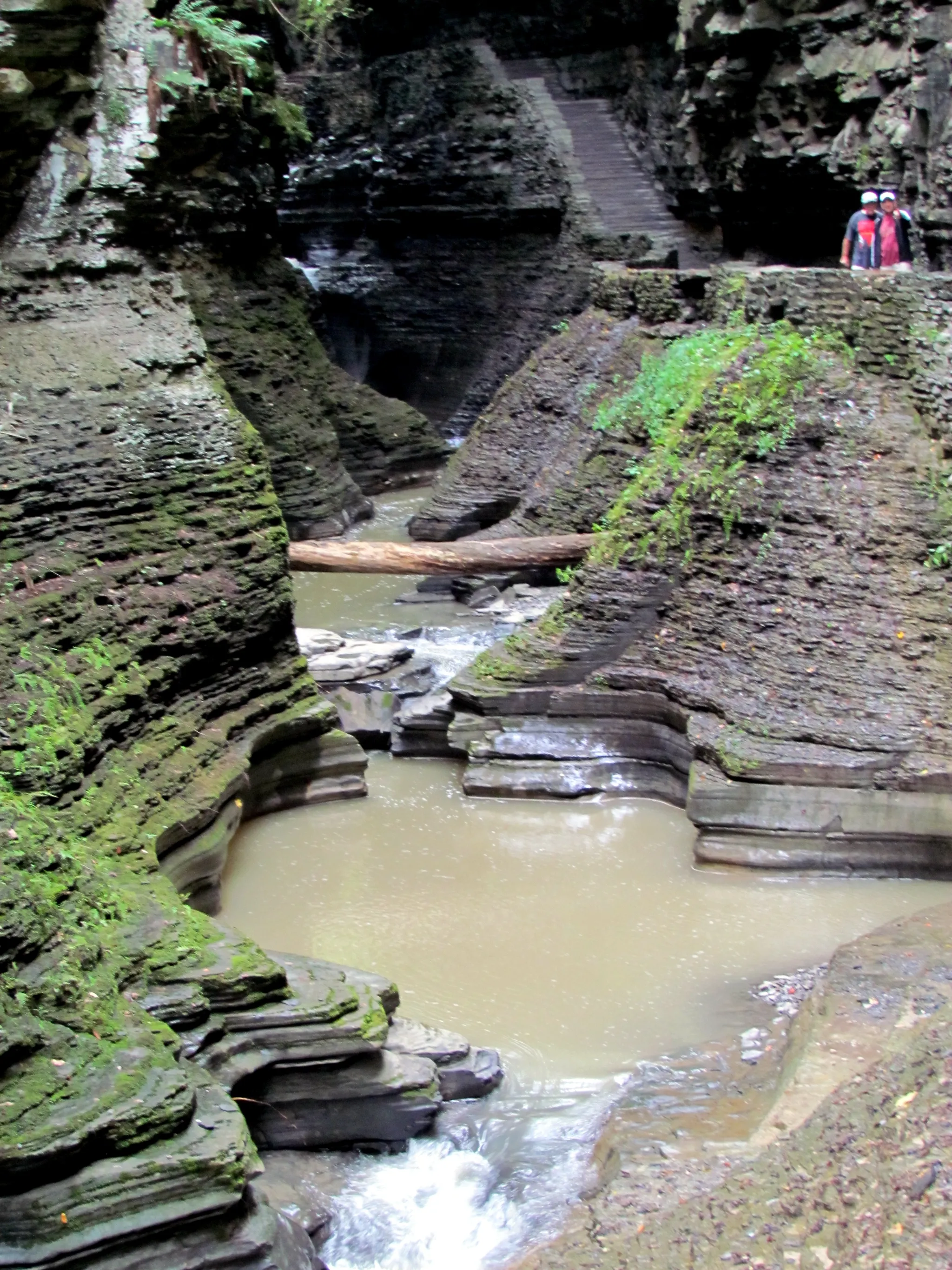 Watkins Glen State Park