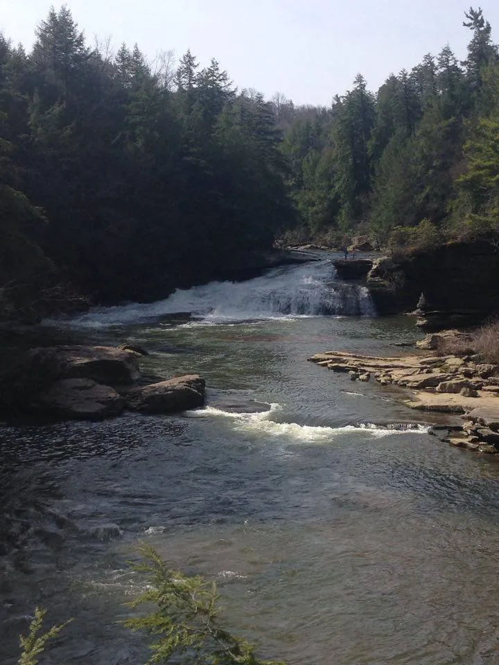 Swallow Falls State Park