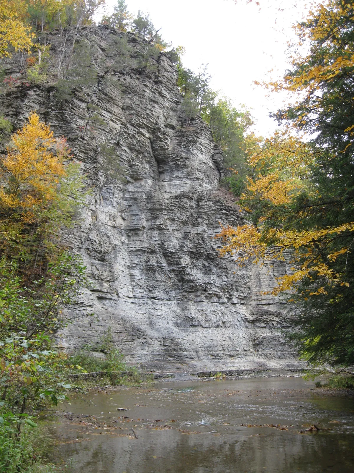 Robert H Treman State Park