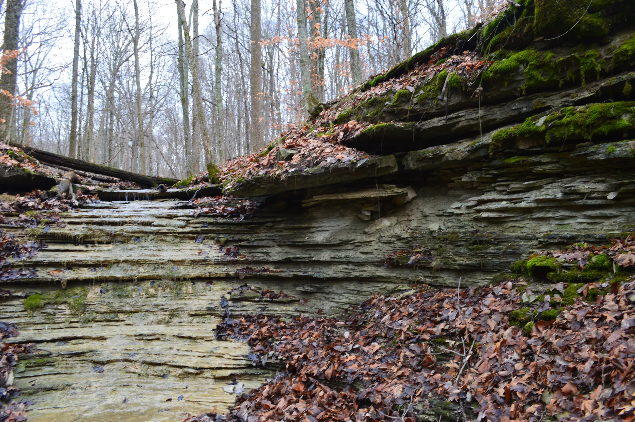 Versailles State Park