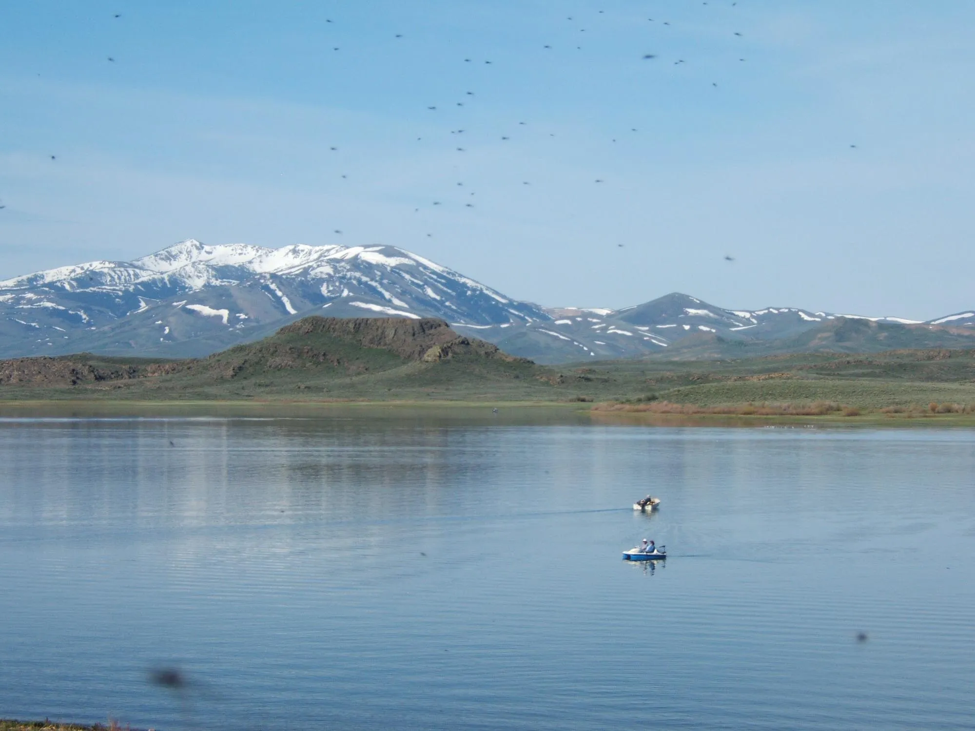 Wild Horse Campground