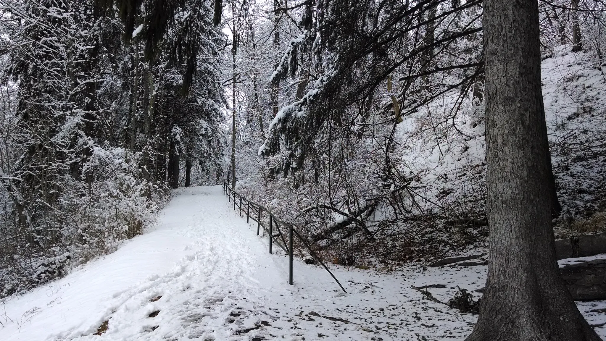 Caledonia State Park
