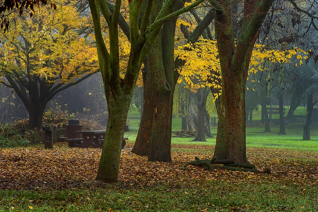 Colusa-Sacramento River State Recreation Campground