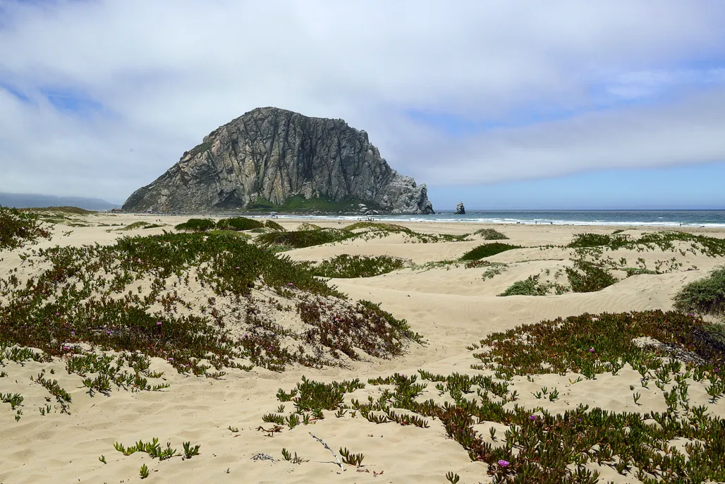Morro Strand State Beach Campground